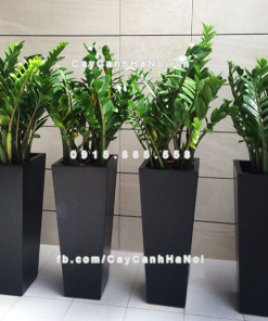 Chậu composite trồng cây cao cấp thông minh 1014S (Đen mờ) 2 Chau composite trong cay thong minh cao cap 1014S den3