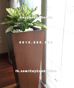 Chau composite trong cay thong minh cao cap 1014S van go2