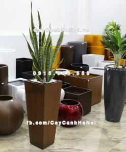 Chau composite trong cay thong minh cao cap 1014S van go5