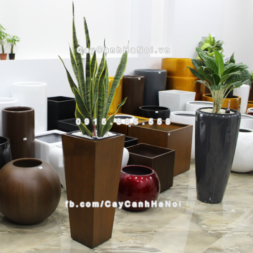 chau_composite_trong_cay_thong_minh_cao_cap_1014s_van_go5