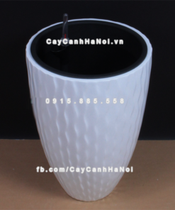 Chậu composite trồng cây cao cấp thông minh 1100S (Trắng bóng) 1 Chau composite trong cay thong minh cao cap 1100S trang bong2