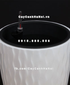 Chậu composite trồng cây cao cấp thông minh 1100S (Trắng bóng) 2 Chau composite trong cay thong minh cao cap 1100S trang bong3