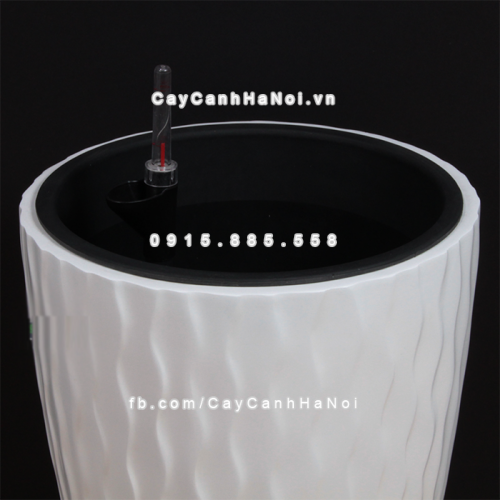 chau_composite_trong_cay_thong_minh_cao_cap_1100s_trang_bong3