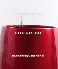 Chau composite trong cay thong minh cao cap 1133S do2