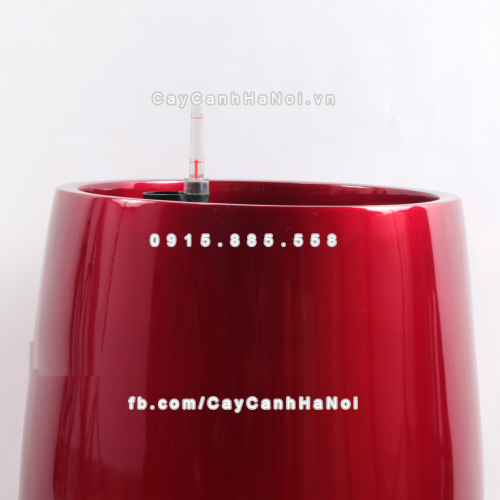 chau_composite_trong_cay_thong_minh_cao_cap_1133s_do2