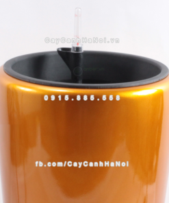 Chậu composite trồng cây cao cấp thông minh 1133S (Vàng gold) 1 Chau composite trong cay thong minh cao cap 1133S vang2