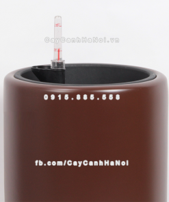 Chau composite trong cay thong minh cao cap 1232S nau2