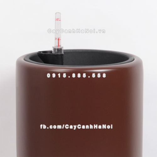 chau_composite_trong_cay_thong_minh_cao_cap_1232s_nau2