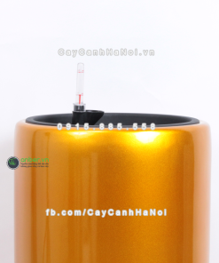 Chậu composite trồng cây cao cấp thông minh 1232S (Vàng gold) 2 Chau composite trong cay thong minh cao cap 1232S vang3