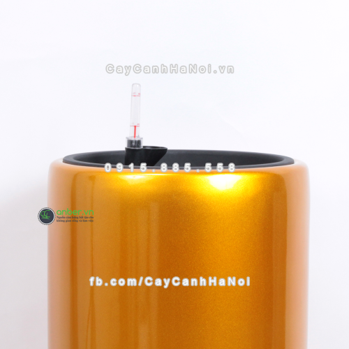 chau_composite_trong_cay_thong_minh_cao_cap_1232s_vang3