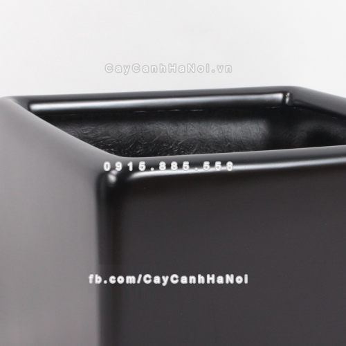 chau_composite_trong_cay_thong_minh_cao_cap_1476_den2