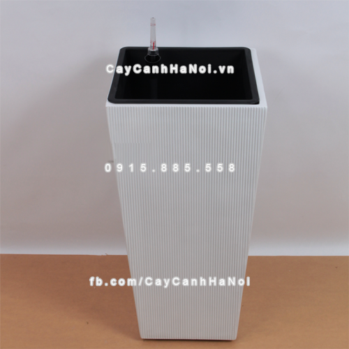 chau_composite_trong_cay_thong_minh_cao_cap_1606s_trang3