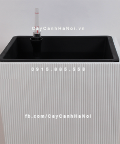Chậu composite trồng cây cao cấp thông minh 1606S (Trắng mờ) 3 Chau composite trong cay thong minh cao cap 1606S trang4