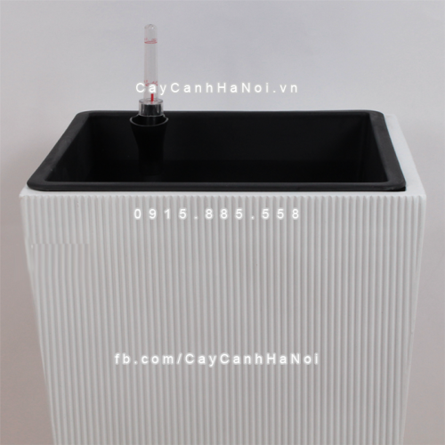 chau_composite_trong_cay_thong_minh_cao_cap_1606s_trang4