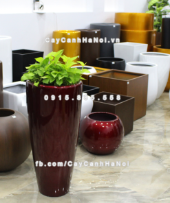 Chau composite trong cay thong minh cao cap 1649S do3