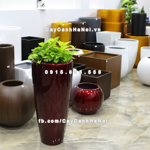 chau_composite_trong_cay_thong_minh_cao_cap_1649s_do3