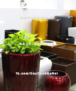 Chau composite trong cay thong minh cao cap 1649S do4