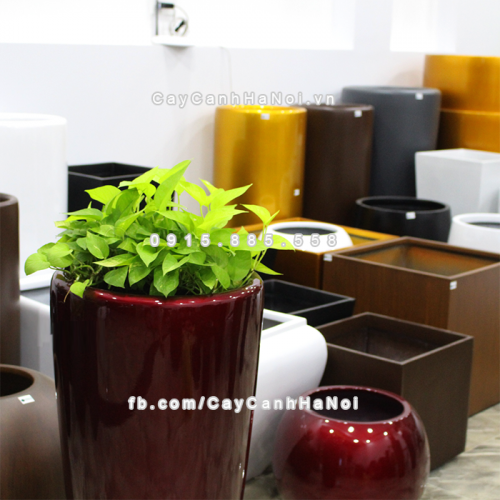 chau_composite_trong_cay_thong_minh_cao_cap_1649s_do4