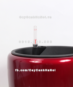 Chau composite trong cay thong minh cao cap 1649S do5