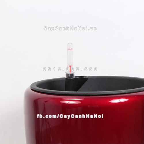 chau_composite_trong_cay_thong_minh_cao_cap_1649s_do5