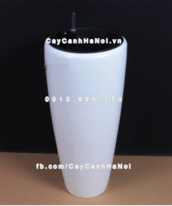 Chậu composite trồng cây cao cấp thông minh 1649S (Trắng bóng) 1 Chau composite trong cay thong minh cao cap 1649S trang2