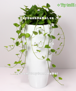 Chậu composite trồng cây cao cấp thông minh 1649S (Trắng bóng) 2 Chau composite trong cay thong minh cao cap 1649S trang3