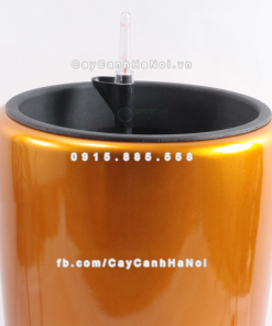 Chau composite trong cay thong minh cao cap 1649S vang gold4