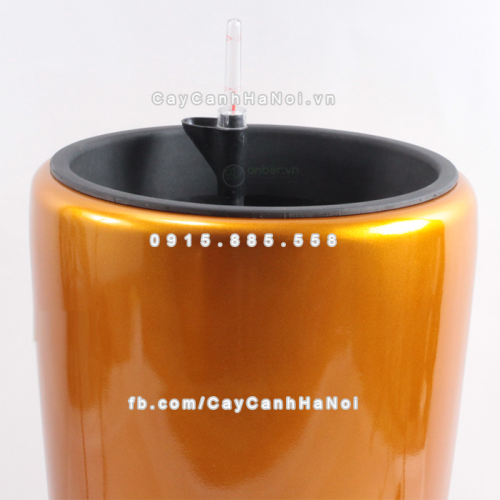 chau_composite_trong_cay_thong_minh_cao_cap_1649s_vang_gold4