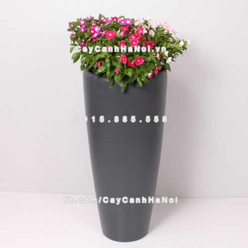 chau_composite_trong_cay_thong_minh_cao_cap_1649s_xam2