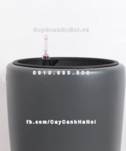 Chau composite trong cay thong minh cao cap 1649S xam4