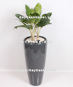 Chậu composite trồng cây cao cấp thông minh 1649S (Xám bóng) 1 Chau composite trong cay thong minh cao cap 1649S xam bong3