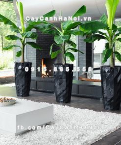 Chau composite trong cay thong minh cao cap N111 1