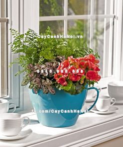 Chau composite trong cay thong minh cao cap N131