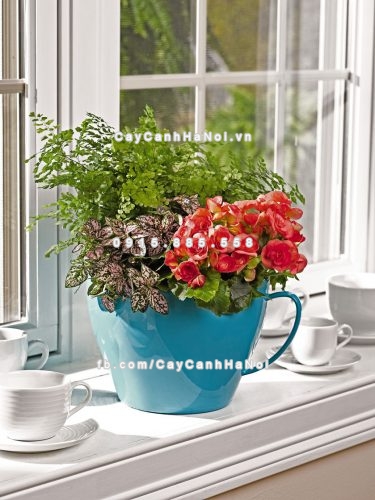 chau_composite_trong_cay_thong_minh_cao_cap_n141