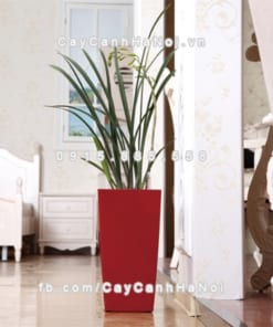 Chậu composite trồng cây cao cấp thông minh N3 1 Chau composite trong cay thong minh cao cap N31