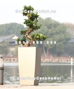 Chậu composite trồng cây cao cấp thông minh N3 2 Chau composite trong cay thong minh cao cap N32