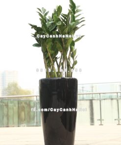 Chậu composite trồng cây cao cấp thông minh N5 2 Chau composite trong cay thong minh cao cap N52