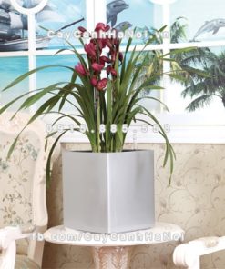 Chậu composite trồng cây cao cấp thông minh N6 1 Chau composite trong cay thong minh cao cap N61