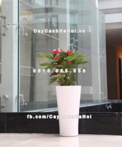 Chậu composite trồng cây cao cấp thông minh N8 1 Chau composite trong cay thong minh cao cap N82