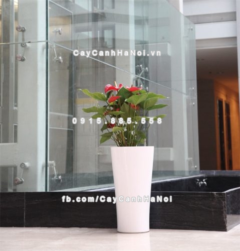 Chậu composite trồng cây cao cấp thông minh N8 5 chau_composite_trong_cay_thong_minh_cao_cap_n82