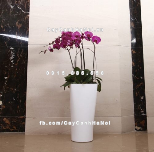 Chậu composite trồng cây cao cấp thông minh N9 7 chau_composite_trong_cay_thong_minh_cao_cap_n92