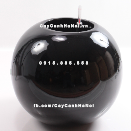 Chậu composite trồng cây cao cấp thông minh SE8889S (Đen bóng) 3 chau_composite_trong_cay_thong_minh_cao_cap_se8889s_den1