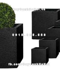 Chautrong cay xi mang cao cap M102