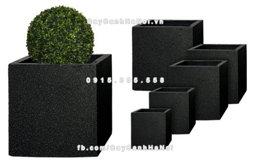 chautrong_cay_xi_mang_cao_cap-m102