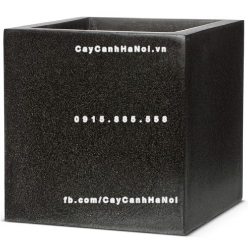 chautrong_cay_xi_mang_cao_cap-m11