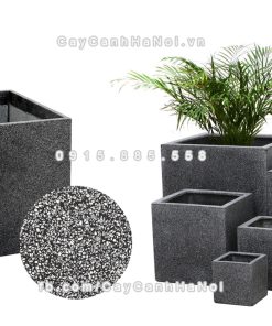 Chautrong cay xi mang cao cap M122