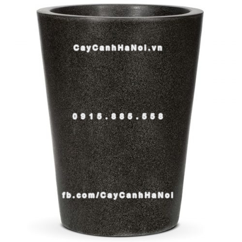 chautrong_cay_xi_mang_cao_cap-m15