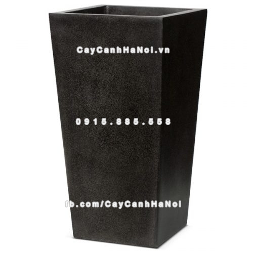 chautrong_cay_xi_mang_cao_cap-m16