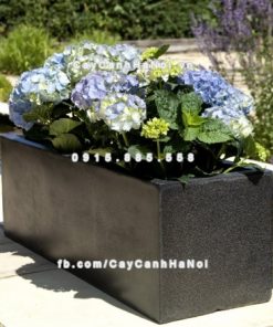 Chautrong cay xi mang cao cap M191