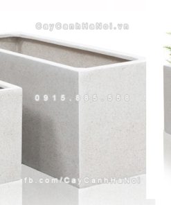 Chautrong cay xi mang cao cap M192